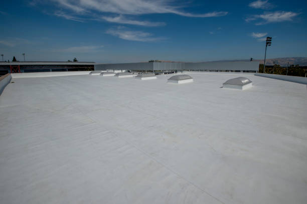 Best Roof Maintenance and Cleaning  in New Ellenton, SC