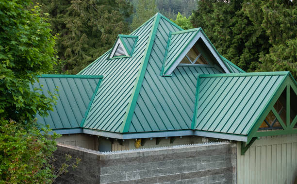 Best Steel Roofing  in New Ellenton, SC